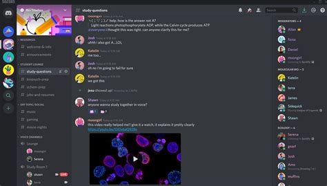 Users who share packs on Telegram, Discord and 4Chan have .